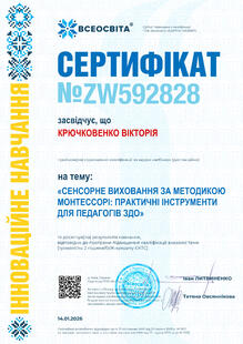 №ZW592828