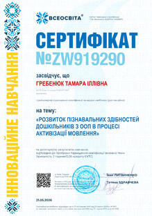 №ZW919290