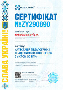 №ZY290890