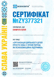 №ZY377321