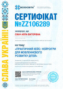 №ZZ106289