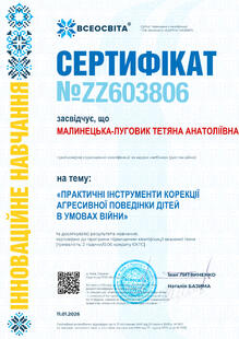 №ZZ603806