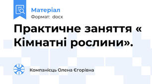 Практичне заняття « Кімнатні рослини».