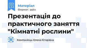 Презентація до практичного заняття "Кімнатні рослини"