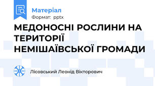 МЕДОНОСНІ РОСЛИНИ НА ТЕРИТОРІЇ НЕМІШАЇВСЬКОЇ ГРОМАДИ