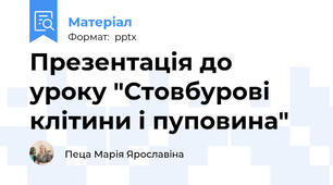 Презентація до уроку "Стовбурові клітини і пуповина"