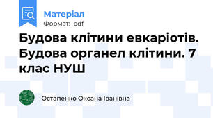 Будова клітини евкаріотів. Будова органел клітини. 7 клас НУШ