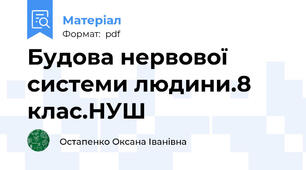 Будова нервової системи людини.8 клас.НУШ