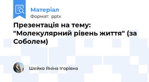 Презентація на тему: "Молекулярний рівень життя" (за Соболем)