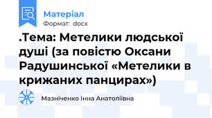 .Тема: Метелики людської душі (за повістю Оксани Радушинської «Метелики в крижаних панцирах»)