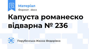 Капуста романеско відварна № 236