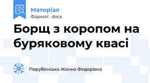 Борщ з коропом на буряковому квасі