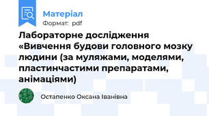 Лабораторне дослідження «Вивчення будови головного мозку людини (за муляжами, моделями, пластинчастими препаратами, анімаціями)