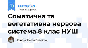 Соматична та вегетативна нервова система.8 клас НУШ
