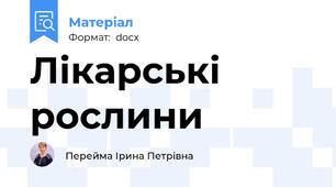 Лікарські рослини