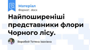Найпоширеніші представники флори Чорного лісу.