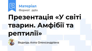 Презентація «У світі тварин. Амфібії та рептилії»