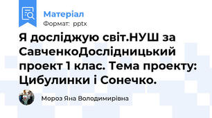 Я досліджую світ.НУШ за СавченкоДослідницький проект 1 клас. Тема проекту: Цибулинки і Сонечко.