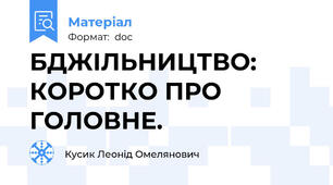БДЖІЛЬНИЦТВО: КОРОТКО ПРО ГОЛОВНЕ.
