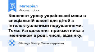 Конспект уроку української мови в спеціальній школі для дітей з інтелектуальними порушеннями.  Тема: Узгодження  прикметника з іменником в роді, числі, відмінку.