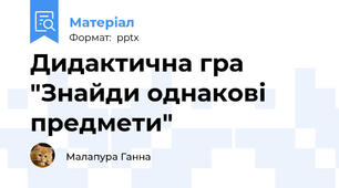 Дидактична гра "Знайди однакові предмети"