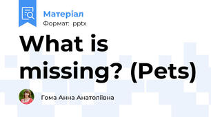 What is missing? (Pets)