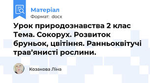 Урок природознавства 2 клас Тема. Сокорух. Розвиток бруньок, цвітіння. Ранньоквітучі трав’янисті рослини.