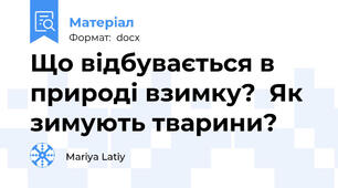 Що відбувається в природі взимку?  Як зимують тварини?