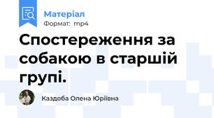 Спостереження за собакою в старшій групі.
