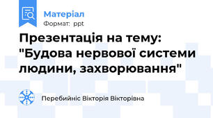 Презентація на тему: "Будова нервової системи людини, захворювання"