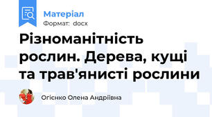 Різноманітність рослин. Дерева, кущі та трав'янисті рослини