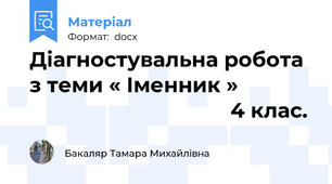 Діагностувальна робота  з теми « Іменник »                                                 4 клас.
