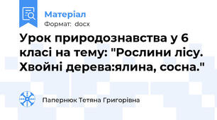 Урок природознавства у 6 класі на тему: "Рослини лісу. Хвойні дерева:ялина, сосна."
