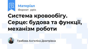 Система кровообігу. Серце: будова та функції, механізм роботи