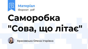 Саморобка "Сова, що літає"