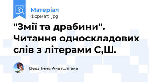 "Змії та драбини". Читання односкладових слів з літерами С,Ш.