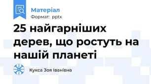 25 найгарніших дерев, що ростуть на нашій планеті