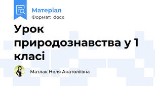 Урок природознавства у 1 класі