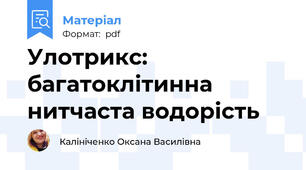 Улотрикс: багатоклітинна нитчаста водорість