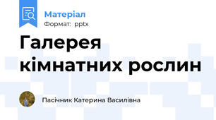 Галерея кімнатних рослин