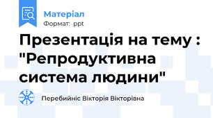 Презентація на тему : "Репродуктивна система людини"