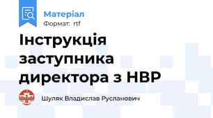 Інструкція заступника директора з НВР