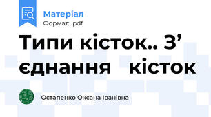 Типи кісток.. З’ єднання   кісток
