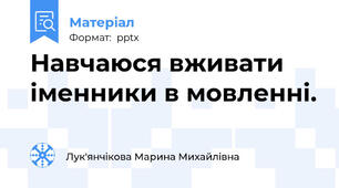 Навчаюся вживати іменники в мовленні.