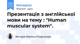 Презентація з англійської мови на тему : "Human muscular system".