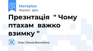 Презнтація  " Чому  птахам  важко  взимку "