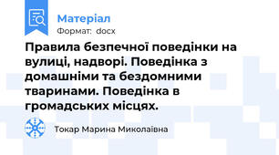 Правила безпечної поведінки на вулиці, надворі. Поведінка з домашніми та бездомними тваринами. Поведінка в громадських місцях.