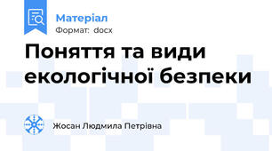 Поняття та види екологічної безпеки