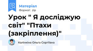 Урок " Я досліджую світ" "Птахи (закріплення)"