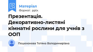 Презентація. Декоративно-листяні кімнатні рослини для учнів з ООП